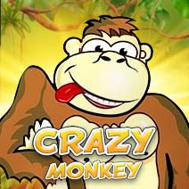 Crazy Monkey